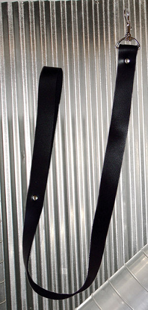 Leather Leash