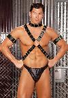 Mens Leather Harness with Arm Bands and Collar